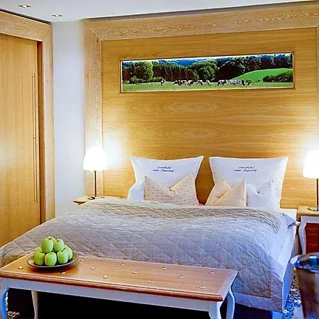 Napoleon Hotel 3*