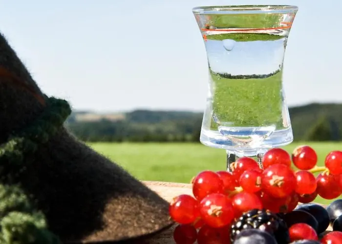 Napoleon Wipperfürth